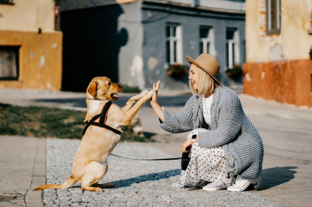 [anfi] Наталья Спиридонова ― Дрессировка с любовью_0.png